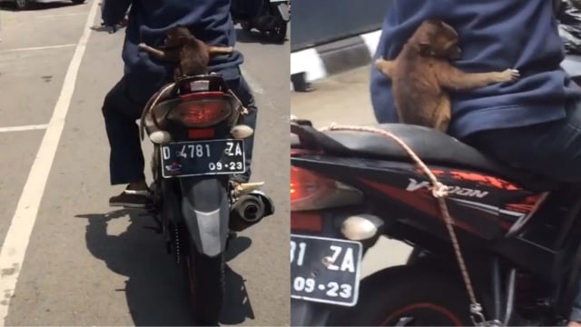 Dok. TikTok @mybabeitsmyself