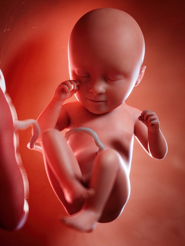Normalnya, Berapa Kali Janin Bergerak Dalam Sehari? Foto: Shutterstock