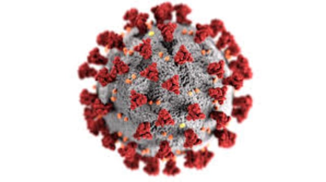 Virus corona Indonesia. Foto: WHO
