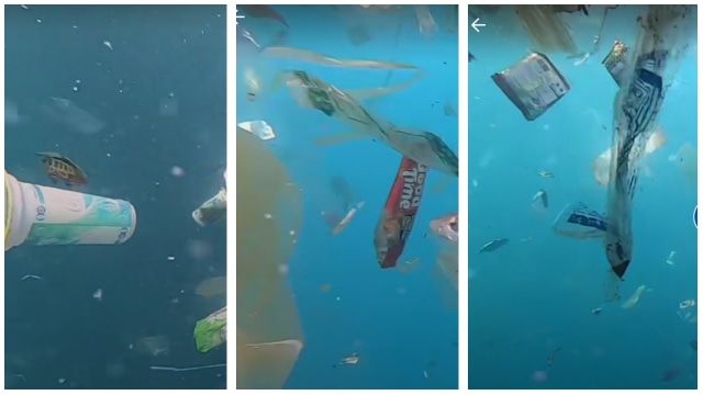 Dok. TikTok.com/@4ocean