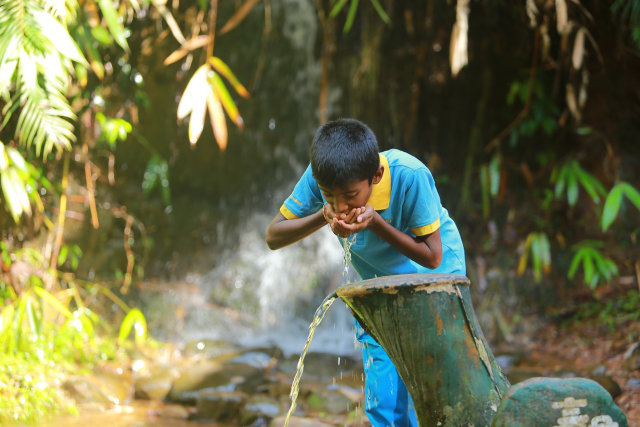 Ilustrasi sumber daya alam hayati. Foto: Pixabay