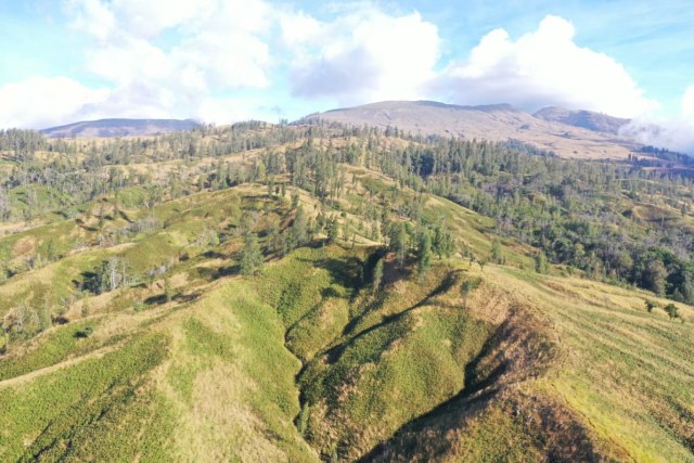 Pemandangan dari Pos 4 menju Pos 5 dan tubir puncak Kaldera Tambora, jalur pendakian Kawinda To'i. Foto: Balai TN Tambora