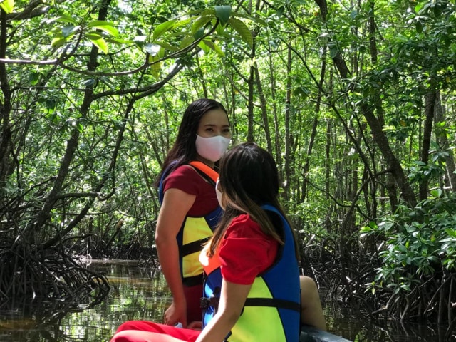 Pengunjung menikmati keasrian wisata Mangrove di Pengundang, Bintan, Kepulauan Riau. Foto: Milyawati/kepripedia.com
