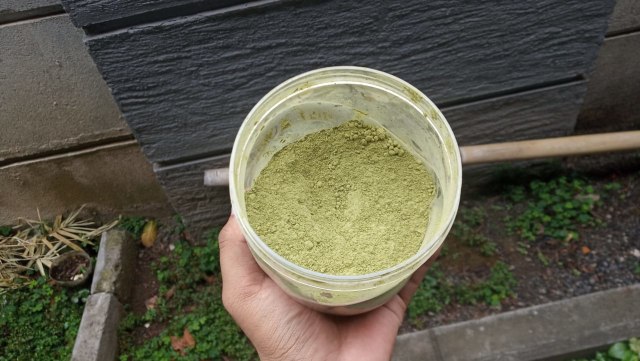 Racikan daun kratom yang bisa dibeli secara online padahal efeknya serasa seperti narkoba - IST