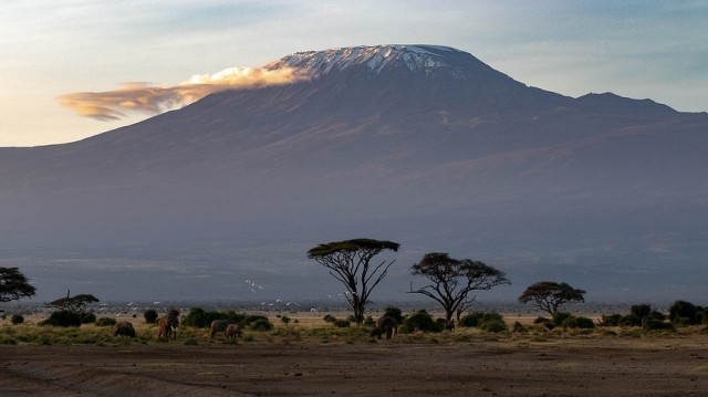 Sabana di Afrika. Foto: herbert2512 from Pixabay