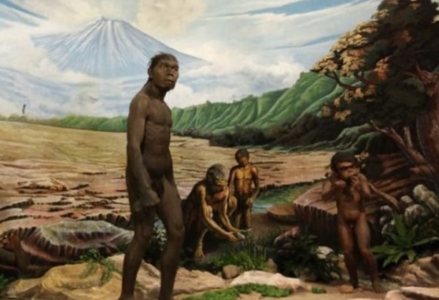 Pithecanthropus Erectus, Foto: cerdika