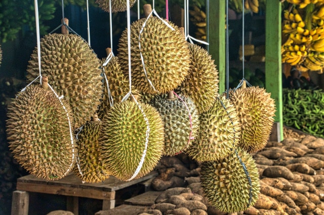 Yala mengekspor sekitar 80% produksi duriannya. Musim durian berlangsung pada bulan Juni-September. (Foto ilustrasi oleh Tom Fisk dari Pexels)