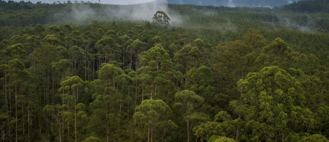 Sumber Daya Alam Foto: dok World Economic Forum