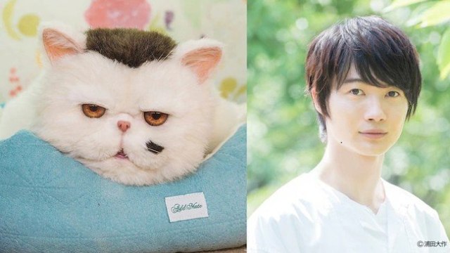 Ryunosuke Kamiki, foto dok. Istimewa