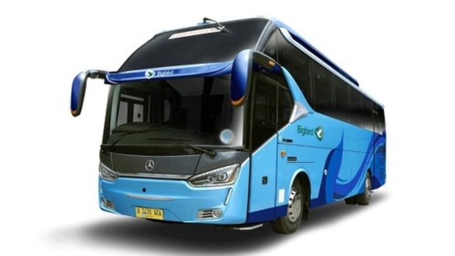 Bus Bigbird Alpha Premium. Foto: dok. Blue Bird