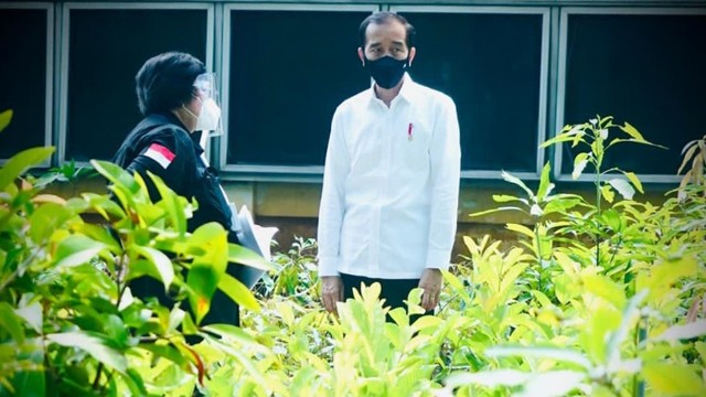 Presiden Joko Widodo meninjau Pusat Sumber Benih dan Persemaian Rumpin pada Jumat (27/11) di Lokasi tempat persemaian di Kecamatan Rumpin, Kabupaten Bogor, Jawa Barat. Foto: Dok. Biro Pers Setpres