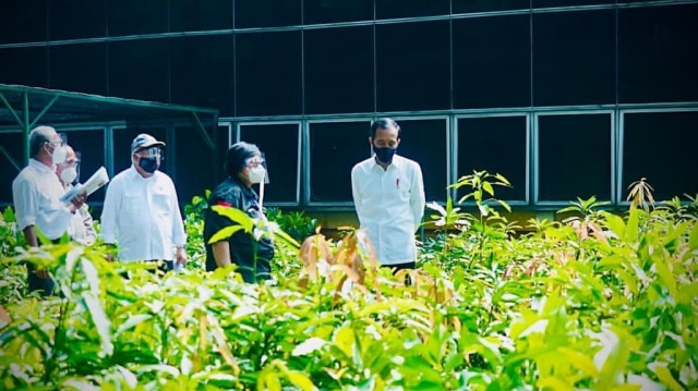 Presiden Joko Widodo meninjau Pusat Sumber Benih dan Persemaian Rumpin pada Jumat (27/11) di Lokasi tempat persemaian di Kecamatan Rumpin, Kabupaten Bogor, Jawa Barat. Foto: Dok. Biro Pers Setpres