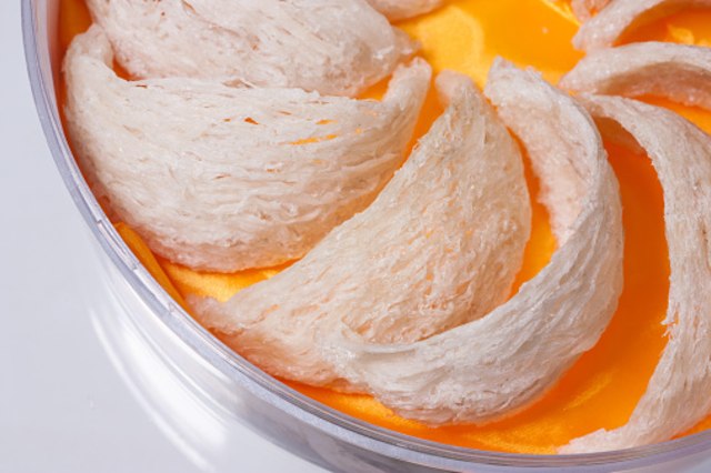 Sarang Burung Walet. Sumber: Pixabay