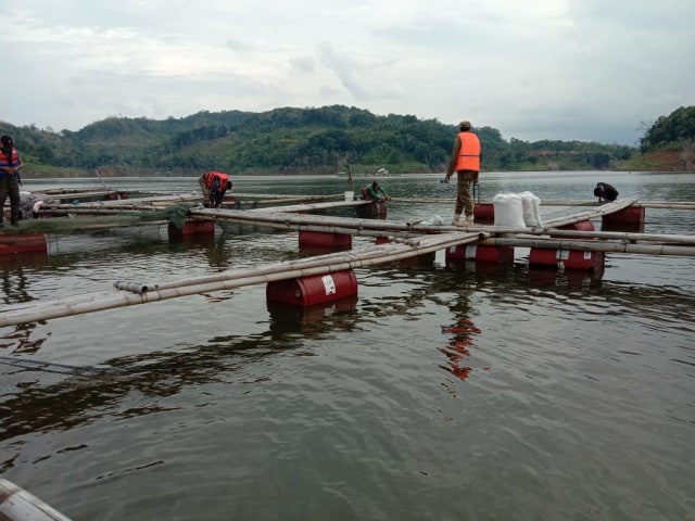 Petugas gabungan membongkar KJA di waduk Jatigede, Sumedang. (Oki Kurniawan)