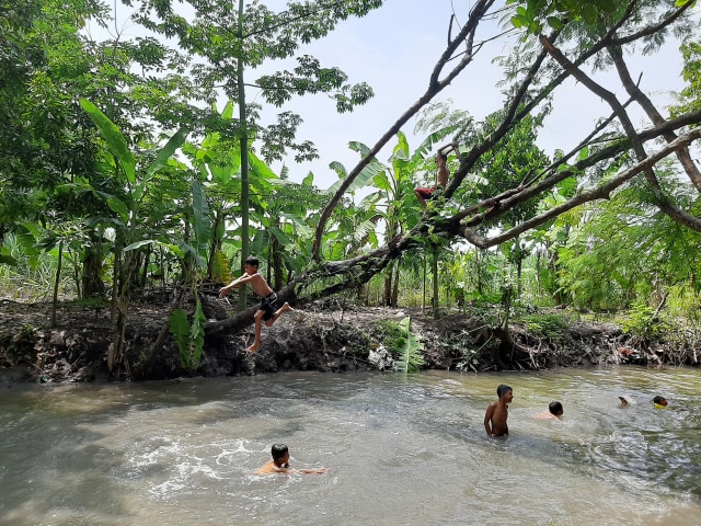 Foto-foto: Amanah Nur Asiah/Basra