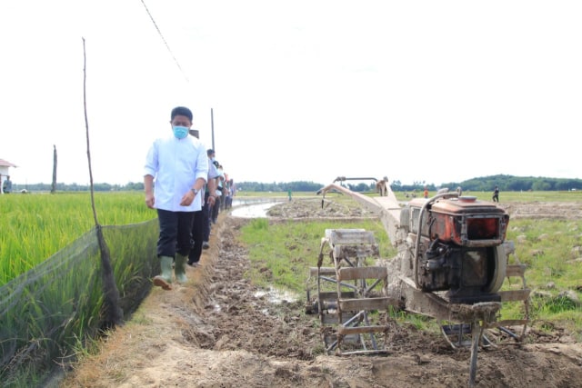 Gubernur Sumsel saat meninjauan kawasan persawahan di Kelurahan Veteran, Kecamatan Martapura, Kabupaten OKU Timur. (Foto. Istimewa)