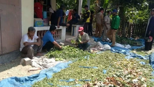 Koperasi Mitra Agribisnis Mandiri. Foto: dok