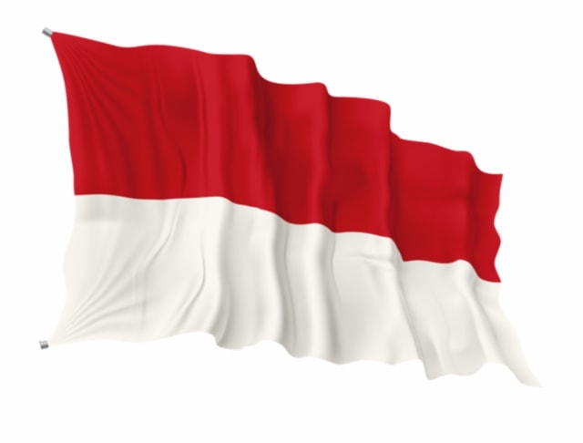 Bendera Indonesia dan fakta sejarahnya Foto: Vippng