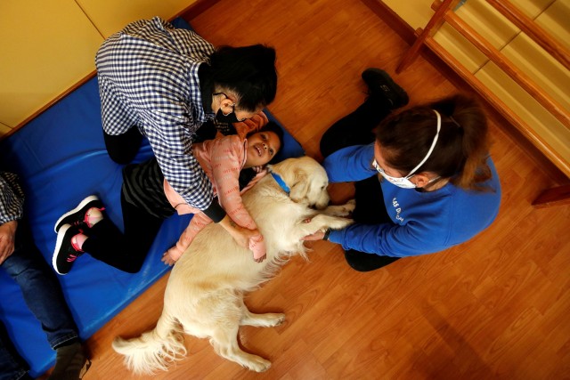Seorang siswa mengikuti terapi dengan bantuan anjing di Escola Iris, Sant Vicenc dels Horts, Barcelona, Spanyol. Foto: Albert Gea/REUTERS