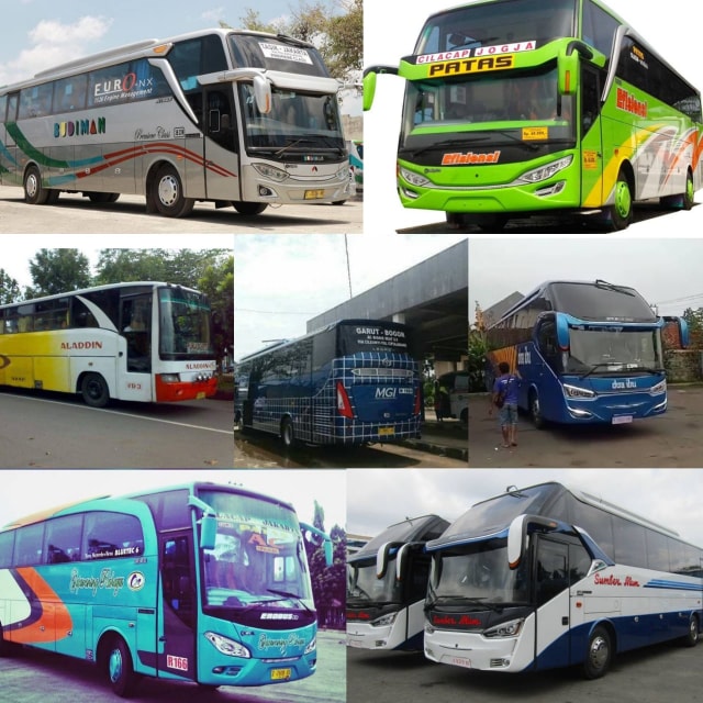 7 PO Bus di Selatan Pulau Jawa. Foto: Dok. Istimewa