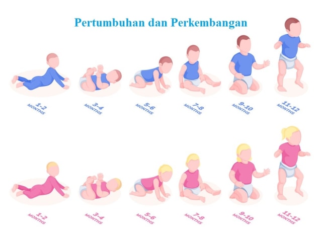 Pertumbuhan dan perkembangan pada manusia. Foto: Pinterest
