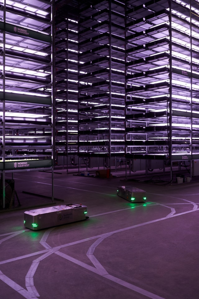 Sebuah robot melewati rak vertikal di perkebunan tanaman vertikal 'Nordic Harvest', yang berbasis di Taastrup, pinggiran barat Kopenhagen, Denmark. Foto: THIBAULT SAVARY/AFP