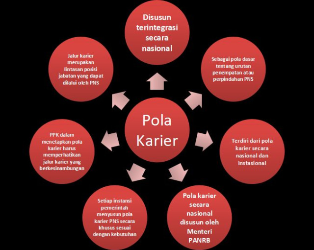 Pola Karier PNS