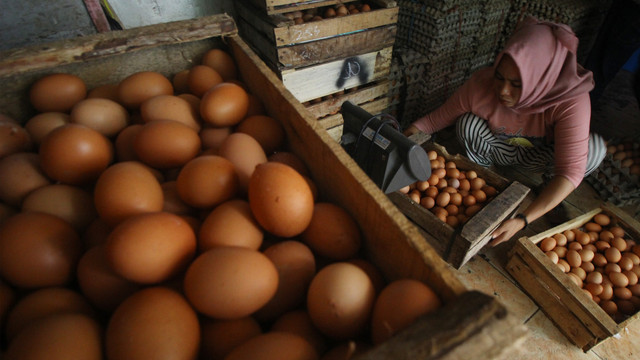 Pekerja menata telur ayam ras di salah satu stan, di Pasar. Foto: ANTARA FOTO/Moch Asim