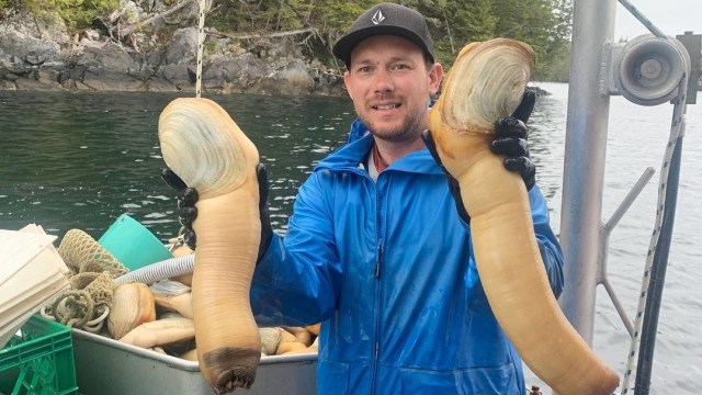 Dam olish maskanida yozgi jinsiy aloqa