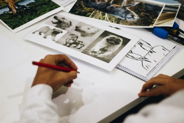 Ilustrasi Menggambar foto:Unsplash