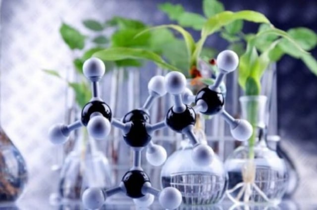 Pengertian produk bioteknologi, Foto: Dok. SeputarIlmu.com