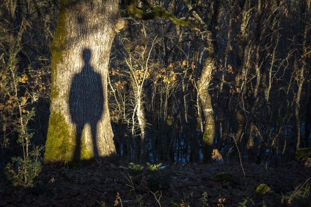 Ilustrasi hantu, dok: pixabay