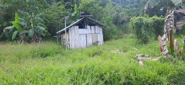 Rumah guru yang ditempati Pak Zul, Guru SDN Bikar hingga saat ini.