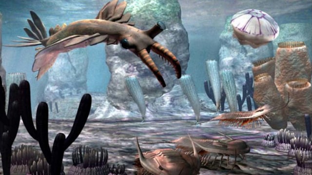 Ilustrasi zaman paleozoikum. Foto: Gambar.pro