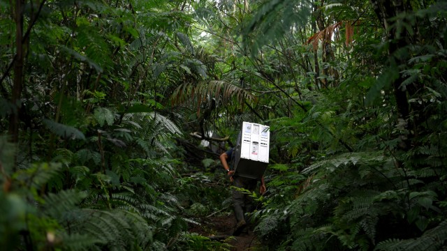 Sebagai ilustrasi: Taman Nasional Halimun-Salak, Jawa Barat, Minggu (20/12). Foto: Wahyu Putro A/ANTARA FOTO