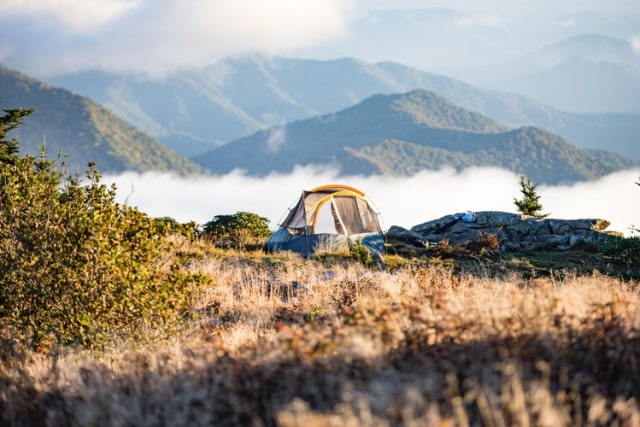 Ilustrasi berkemah. Foto: @chris_jolly from Unsplash