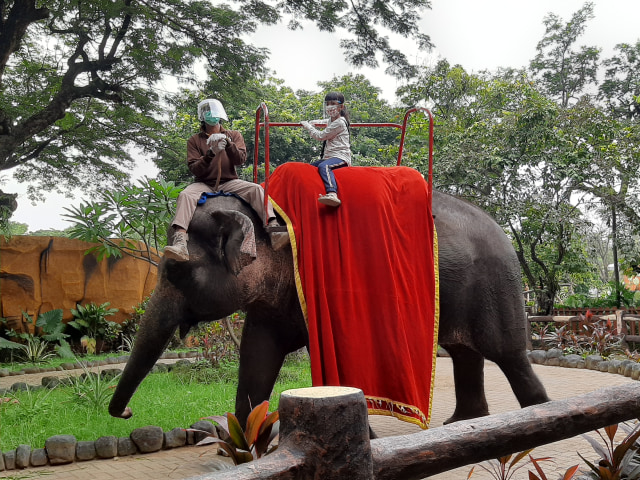 Kanza Tifania menikmati wahana tunggang gajah di KBS. Foto-foto: Amanah Nur Asiah/Basra