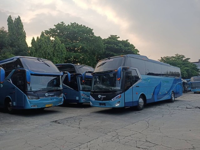 Bus bekas Bigbird Foto: dok. instagram.com/mashandbuschannel