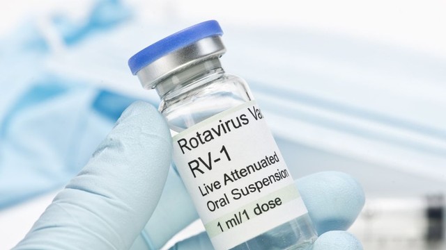 Vaksin Rotavirus Gratis di DKI Jakarta, Simak Ketentuannya! 
 Foto: Shutter Stock