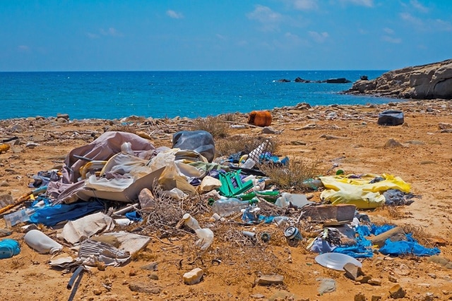 Garbage Plastic Waste Beach | Pixabay.com