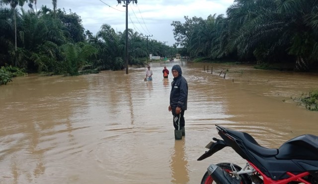 Banjir di kawasan Aceh Timur. Dok. BPBA