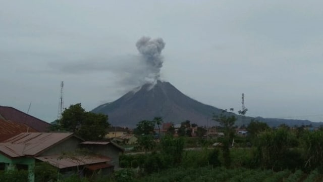 Gunung Sinabung saat erupsi Minggu (3/1). Foto: Dok. Istimewa
