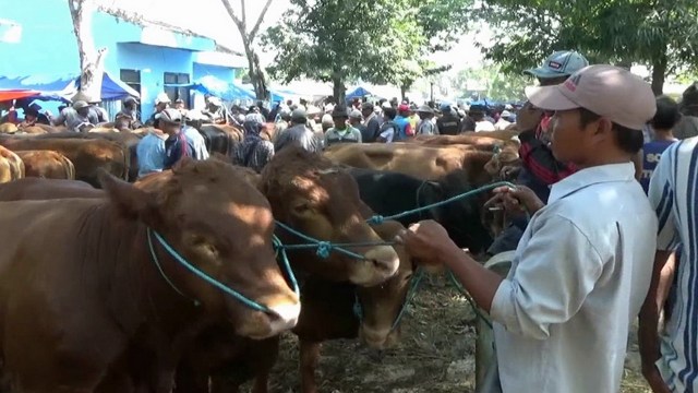 Ilustrasi: Pasar Hewan Bojonegoro Kota (foto: mol/beritabojonegoro)
