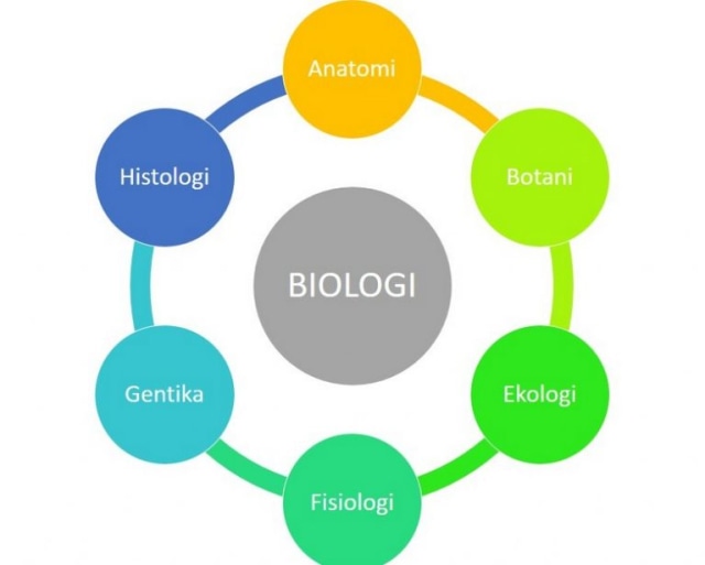 Cabang Ilmu Biologi sumber ilustrasi: Seputar Ilmu Co