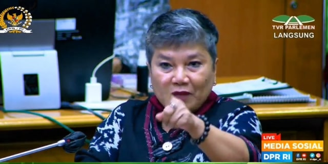Anggota Komisi IX dari fraksi PDIP, Ribka Tjiptaning.
 Foto: Youtube/DPR RI