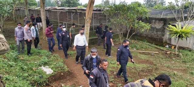 Bareskrim grebek tempat penangkaran burung dilindungi di Sukabumi. Foto: Polri