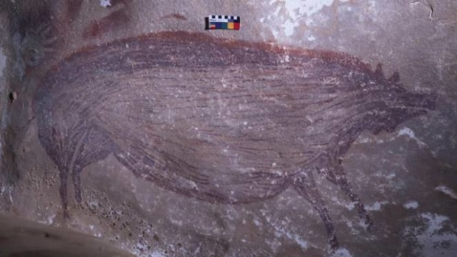 Lukisan gua tertua di dunia ditemukan di Sulawesi. Foto: A. A. Oktaviana, ARKENAS/Griffith University