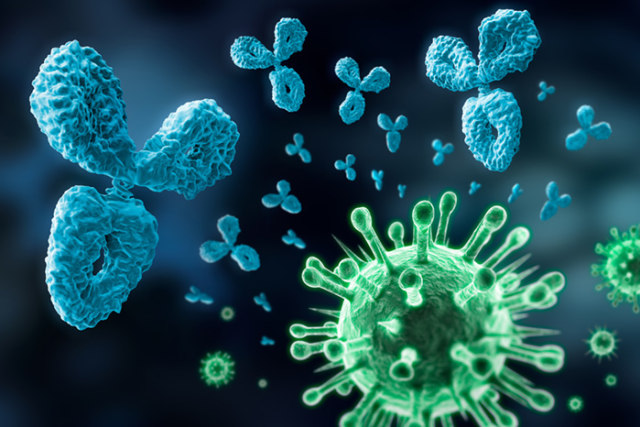 Virus Memiliki Dampak Buruk di Kehidupan Foto: dok MastersDegree.net