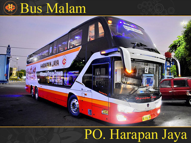 Bus PO Harapan  Jaya. Foto: dok. PO Harapan Jaya