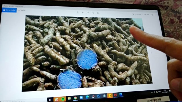 Ilustrasi kunyit hitam. Foto: Repro Foto/kumparan